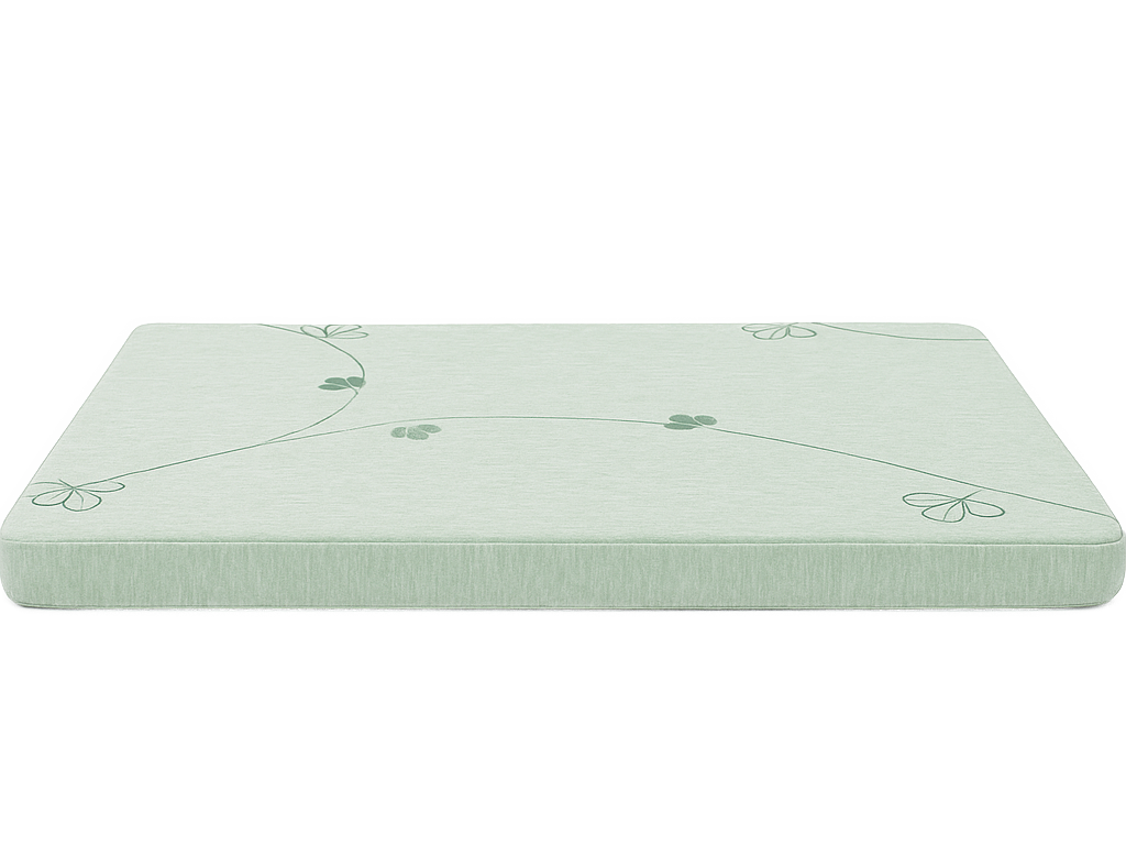 Green - Supportive Foam Dog Bed with Washable Cover - Durable Comfort for All Breeds