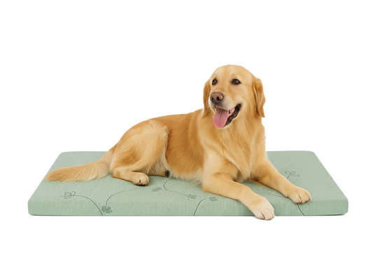 Green - Supportive Foam Dog Bed with Washable Cover - Durable Comfort for All Breeds