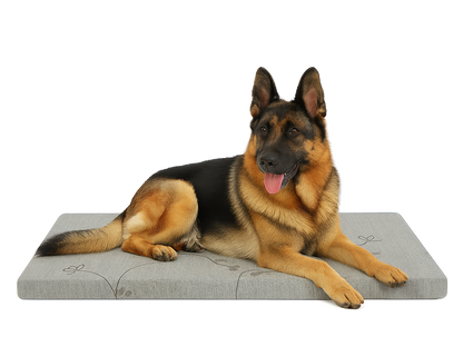 Grey - Supportive Foam Dog Bed with Washable Cover - Durable Comfort for All Breeds